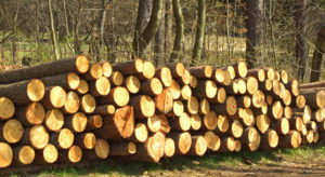 NORSKOG mener det ikke er nødvendig med omfattende nye kontrollprosedyrer for tømmeromsetning og ber om en forsvarlig implementering av nye forskrifter.