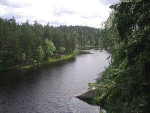 Fylkesmannen i Oslo og Viken har nå fått i oppdrag å utarbeide et forslag til nasjonalpark for deler av Østmarka.