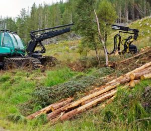 Eirik Ogner Jåstad har i sin doktorgradsavhandling undersøkt hvordan skog- og energisektoren vil tilpasse seg produksjonen av biodrivstoff og biovarme i Norden fremover. Resultatene viser at en storstilt biodrivstoffproduksjon i Norden vil endre den tradisjonelle skogsektoren, og at skogeieren vil være den store vinneren.