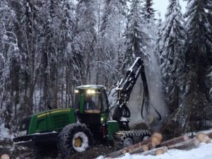 Nå setter Statskog norsk skogstandard under lupen. Det norske PEFC skogsertifiseringssystemet (Programme for the Endorsement of Forest Certification) skal revideres med sike på å øke bærekraften i skogbruket.