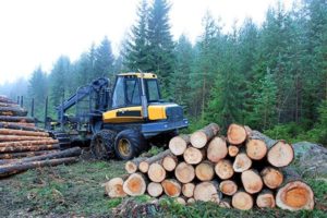 Skogeier som har utført skogtiltak som kan få tilskudd må søke kommunen så fort som mulig, og seinest innen følgende tidsfrister i november 2020: