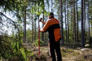 SSB har publisert en statistikk som gir en oversikt over de personlige skogeiernes inntekter, gjeld og formue.
