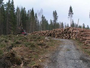 Fordelingen av midler fra Landbrukets Utviklingsfond til skogbruk for 2019 er nå fastsatt etter samråd med avtalepartene og skogbruks-organisasjonene. God infrastruktur i skogbruket er nødvendig for en effektiv og konkurransedyktig skog- og trenæring. For 2019 avsettes det 110 millioner kroner til veibygging og taubane.