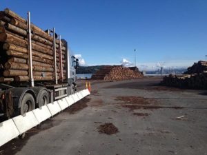 Fem tømmerkaier har til sammen fått 44,5 mill. kroner til opprusting eller nybygging i årets tildeling av tilskudd.