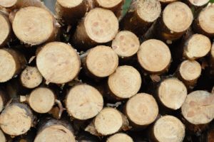«INNSIKT - Marked» er et informasjonsprodukt fra NORSKOG som skal gi våre medlemmer og bransjen bedre oversikt over markedet for tømmer og treprodukter.