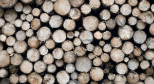 Skogeierne har opplevd en nedgang i tømmerprisene fra 3. kvartal 2019 til 3. kvartal 2020 på 15,1 %. Det viser ferske tall som SSB har publisert i dag.