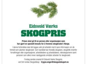 Prisen skal gå til en person eller organisasjon som har gjort en spesiell innsats for å fremme skogbruket i Norge.