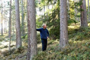 Skogeier Terje Hoff (59) på Otta kommer ikke til å bli med på noen form for frivillig skogvern slik Fylkesmannen i Oppland har sendt ut brev om.