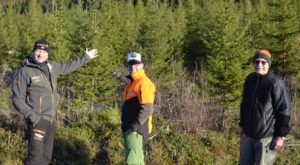 Aktivitetspådriver skogdrift, Torgrim Garberg, oppfordrer skogeiere til å drive ungskogpleie.