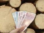Siste frist for skogeiere til å søke tilskudd og for registrering/utbetaling fra skogfondet i år er 7. desember.
