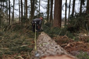 Er du skogeier som nylig har fått utarbeidet ny skogbruksplan for din eiendom og har fått utlagt store nøkkelbiotoper?