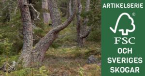 I en ny artikelserie här på Natursidan kommer vi skriva om skogsbrukscertifieringen Forest Stewardship Council (FSC). De hävdar själva att de ”arbetar för att världens skogar ska brukas ansvarsfullt”, men har fått hård kritik från flera håll för att de inte lever upp till sina ord.