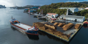 Landbruksdirektoratet har gitt 53,3 mill. kroner i støtte til bygging av tømmerkaier i 2019. De nye kaiprosjektene ligger i Nordland og på Vestlandet.