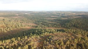 Flere aksjeselskap, entreprenører og eiendomsutviklere er blant dem som har kjøpt skogeiendommer av Statskog.