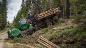 Skogeierne i Norge solgte over 11 millioner kubikkmeter tømmer til industriformål i 2019, viser tall fra Landbruksdirektoratet. Det er over to prosent mer enn i 2018, og i siste 10-års periode har volumet økt år for år. Tømmeret har en bruttoverdi på over 4,8 milliarder kroner for skogeierne.