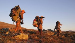 Innovasjon Norge og Skogkurs arrangerer workshop: Jakt og jaktopplevelser som næring