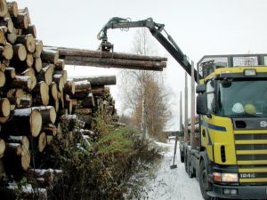 Myndighetene, skog- og trenæringen skal nå samarbeide om et prøveprosjekt med tømmertransport opp mot 74 tonn i deler av Hedmark.