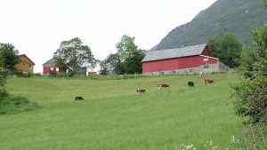 Muligheten for å innføre retningslinjer for hvor lenge dødsbo kan eie en landbrukseiendom er utredet i tråd med Granavolden-plattformen.