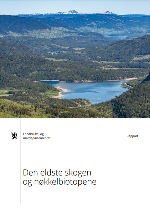 Rapporten «Den eldste skogen og nøkkelbiotopene» viser at mengden gammelskog i Norge øker. Rapporten anbefaler også en rekke tiltak for å bevare nøkkelbiotoper. Disse tiltakene er i hovedsak allerede iverksatt eller i ferd med å bli iverksatt.