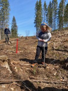 Mandag 9. mai tok skogminister Sandra Borch turen til Losby Bruk for å plante skog med NORSKOG og NORTØMMER.
