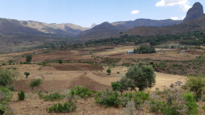NORSKOG har gjennom Norwegian Forestry Group (NFG) hatt en sentral rolle i gjennomføringen av et skogrestaureringsprosjekt i Amhara regionen i Etiopia finansiert av det norske klima- og skoginitiativet (KoS) via den norske ambassaden i Etiopia. Prosjektets tittel er: Forest Landscape Restoration (FLR) Program in Amhara.