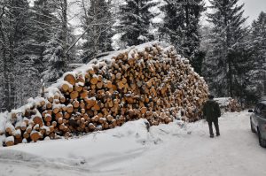 Påmelding til tømmermarked i endring