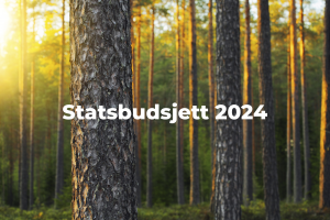 Statsbudsjett 2024: Slik påvirkes skognæringen  