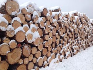 Hensynssone i Asker kommune: Urimelige konsekvenser for skogbruket   